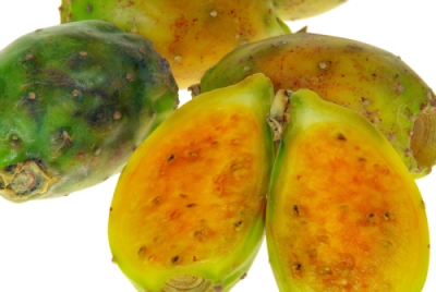 Barbary fig Opuntia ficus-indica prickly pear seed oil Morocco natural Cosmetics beauty organic manufacturer export supplier wholesale import trade