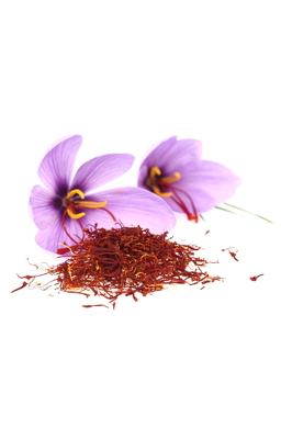 Saffron organic manufacturer trader wholesale producer